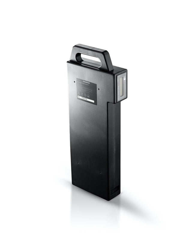 CLEANTECH V48 - BATTERY