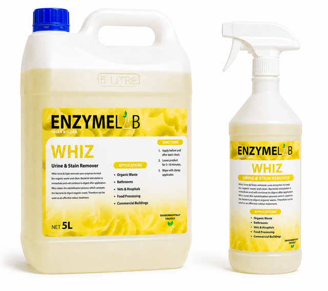 ENZYMELAB 尿液 5L